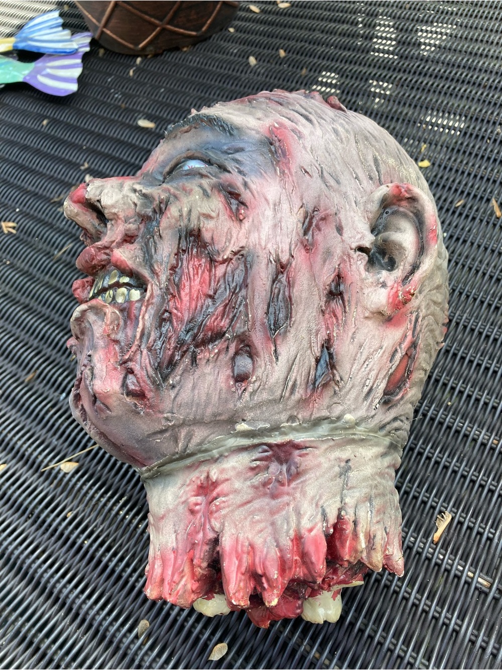 Halloween zombie head prop - Picture 3 of 10